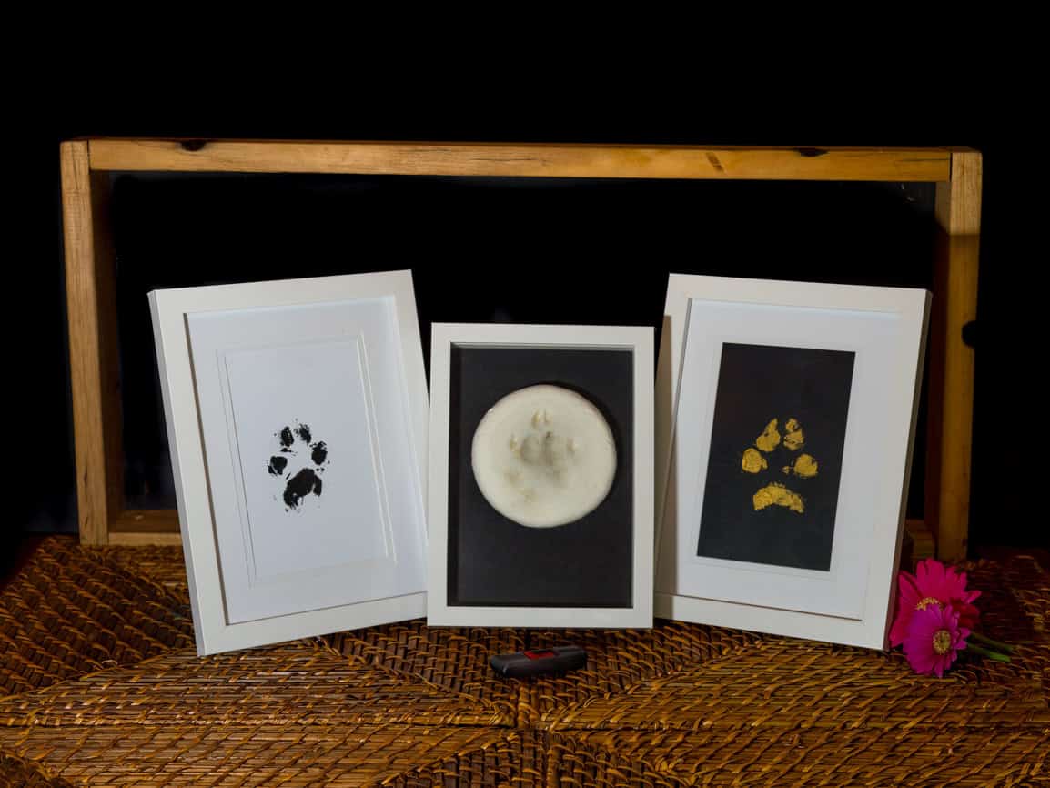 Frames & Paw Casting